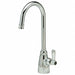 Gooseneck Chrome Zurn AquaSpec Brass