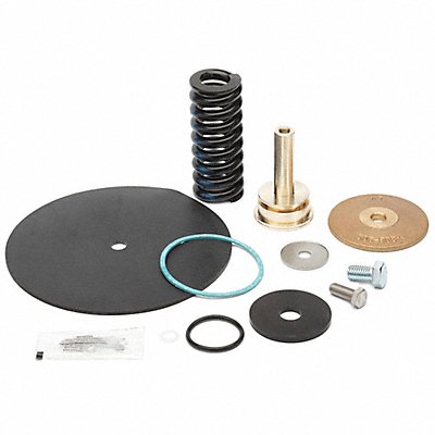 Repair Kit Reduce Valve 2-1/2 In