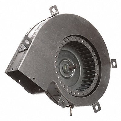 OEM Blower 9-1/2in. Overall W 208/230VAC