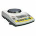 Precision Balance Scale 300g 4-7/10 in.W