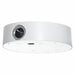 Ceiling Flush Mount 5-29/32 in L Metal