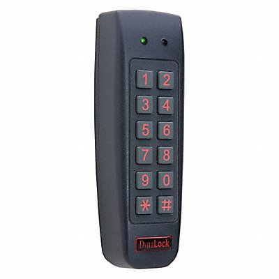 Access Keypad Plastic Blue 6in. Hx2in. W