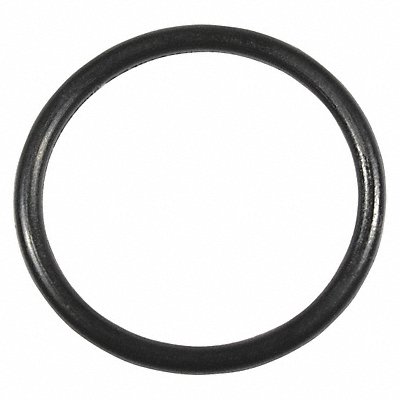 O-Ring s16