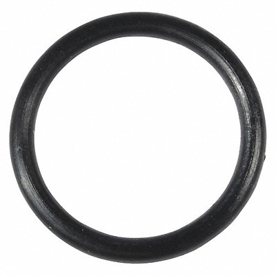 O-Ring as015