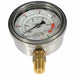 Pressure Gauge