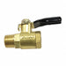 Drain Valve