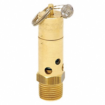 Air Safety Valve 1/2 Inlet 100 psi