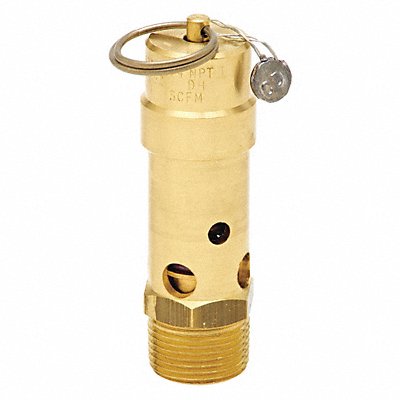 Air Safety Valve 3/4 Inlet 175 psi