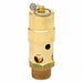 Air Safety Valve 1-1/4 Inlet 100 psi