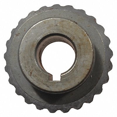 Bevel Gear