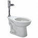 Flush Valve Toilet 10 or 12 Rough-In