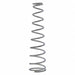 Valve Spring