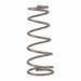 Valve Spring