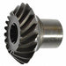 Bevel Gear