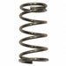 Valve Spring