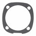 Hammer Case Gasket