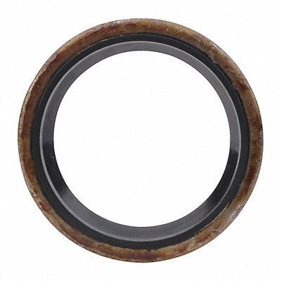 Oil Seal