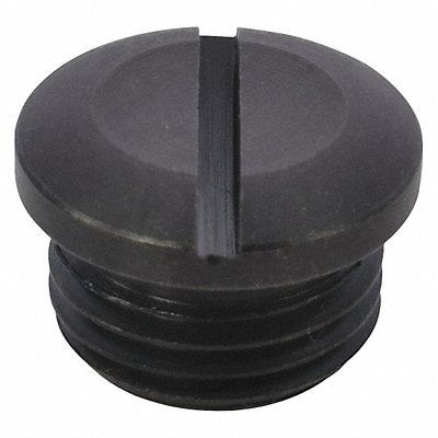 Valve Cap