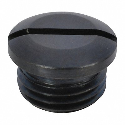 Valve Cap