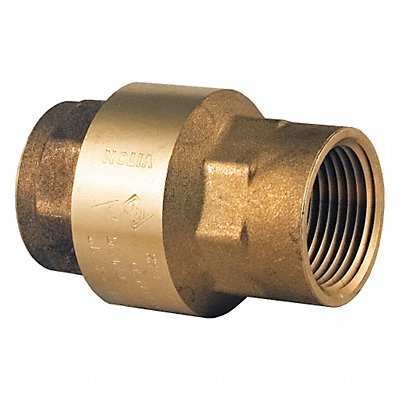 Spring Check Valve Brass 4 FNPT