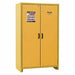 Safety Cabinet EN 45 gal 30 min.