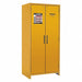 Safety Cabinet EN 30 gal 90 min