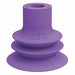 Suction Cup Purple 22.5mm H PK5