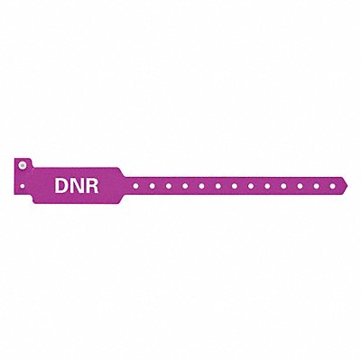 ID Wristband 10-1/4 in L DNR PK500