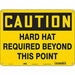 Safety Sign 18 in x 24 in Polyethylene