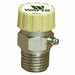 Automatic Vent For Hot Water 1/8In Brass