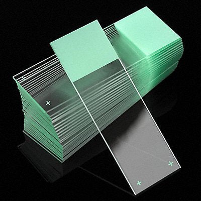 K7701 Microscope Slide Green PK72