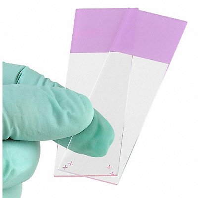 K7701 Microscope Slide Purple PK72