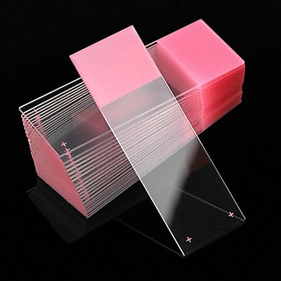 K7701 Microscope Slide Pink PK72