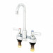 Gooseneck Chrome Zurn AquaSpec Brass