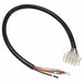 Power Cord