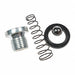 Kit check Valve