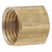 Cap Brass 1/8 in Pipe Size Female NPT