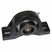 Pillow Block Brg 7/8 in Bore Cast Iron