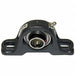 Pillow Block Bearing 1 in Bore Cast Iron