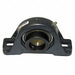 Pillow Block Brg 1 3/8 in Bore Cast Iron