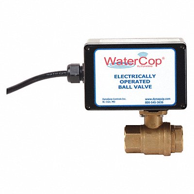 Ball Valve Electronic 1 In FNPT