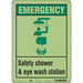 Safety Sign 14 in x 10 in Polyethylene