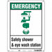 Safety Sign 14 in x 10 in Polyethylene