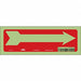 Safety Sign 3 1/2 in x 10 in Glow Vinyl