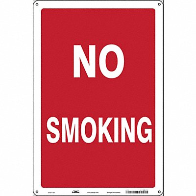 Safety Sign 18 inx12 in Polyethylene