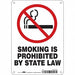 Safety Sign 10 inx7 in Polyethylene