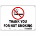 Safety Sign 7 inx10 in Polyethylene