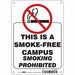 Safety Sign 10 inx7 in Polyethylene