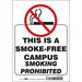 Safety Sign 10 inx7 in Vinyl