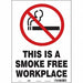 Safety Sign 14 in x 10 in Vinyl